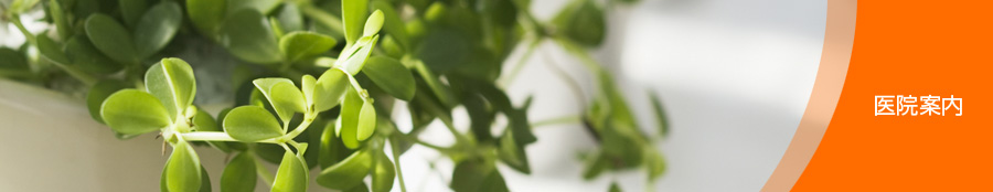 医院案内