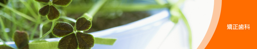 矯正歯科