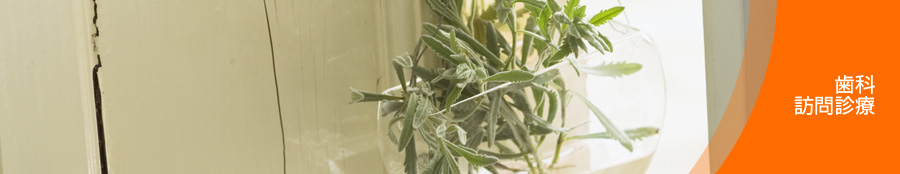 歯科訪問診療
